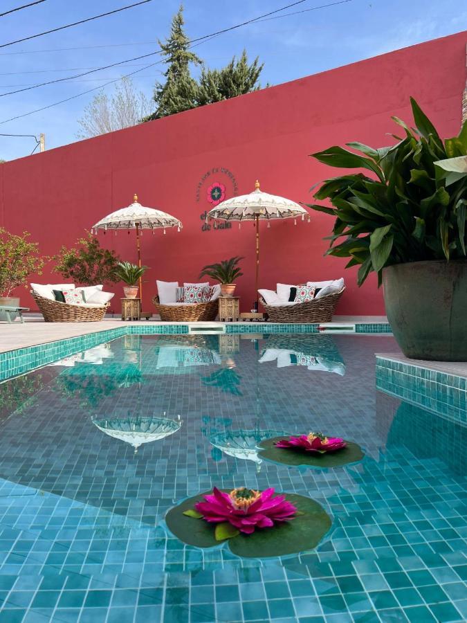 El Jardin De Gala Villa Castejon de Monegros Exterior photo